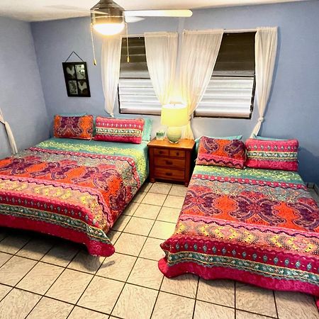 Esperanza Inn Guesthouse (Adults Only) Vieques Pokój zdjęcie