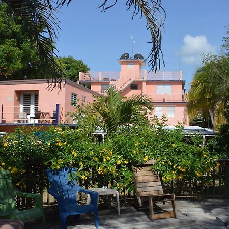 Esperanza Inn Guesthouse (Adults Only) Vieques Zewnętrze zdjęcie