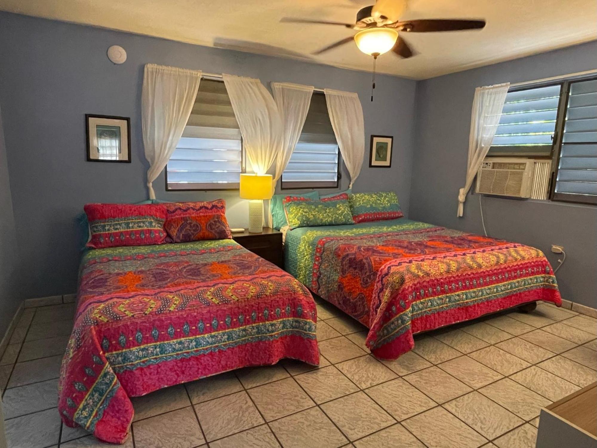 Esperanza Inn Guesthouse (Adults Only) Vieques Pokój zdjęcie