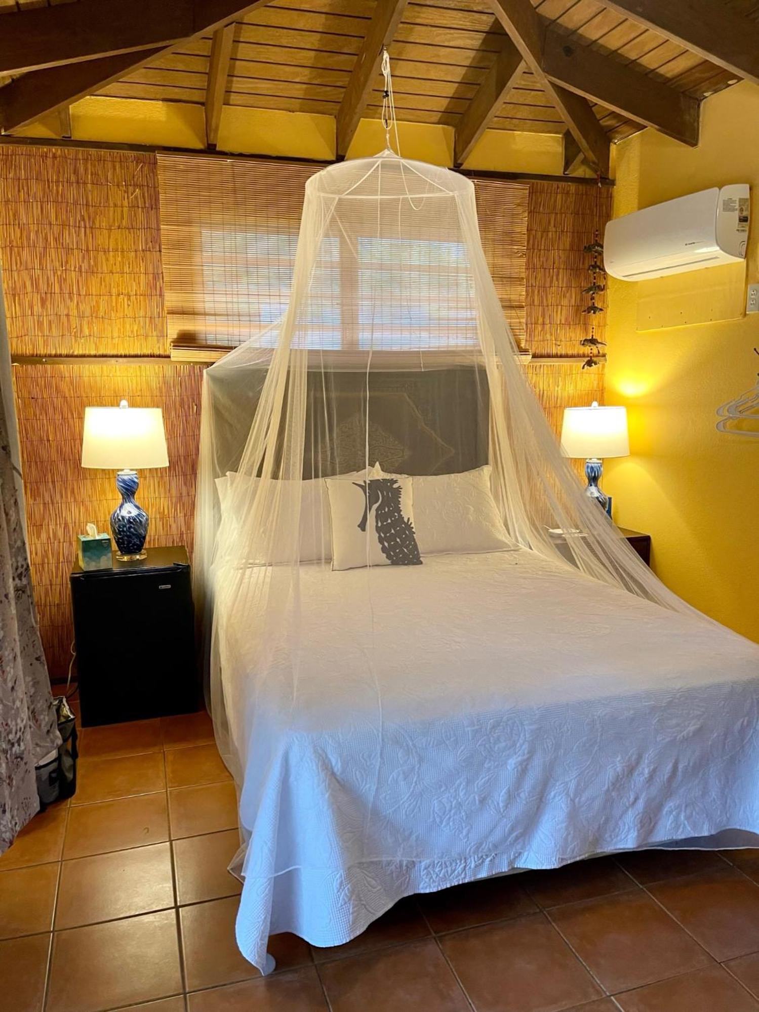 Esperanza Inn Guesthouse (Adults Only) Vieques Pokój zdjęcie
